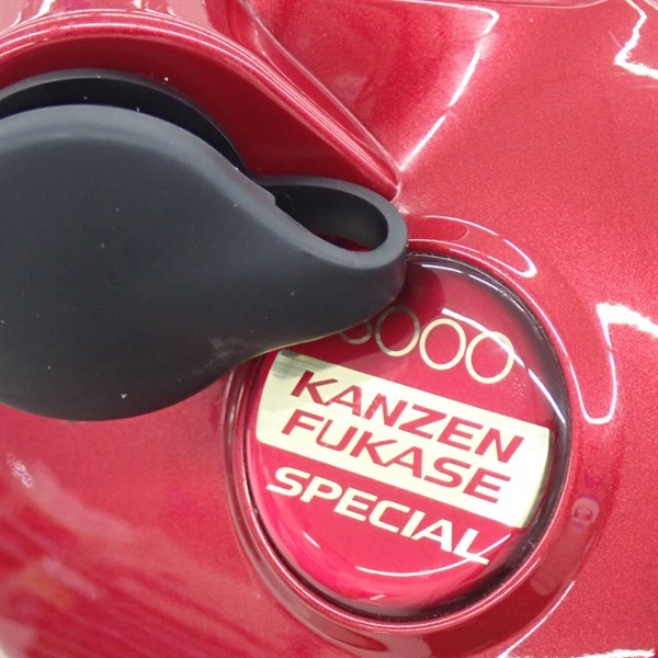 １０電動丸完全フカセスペシャル３０００